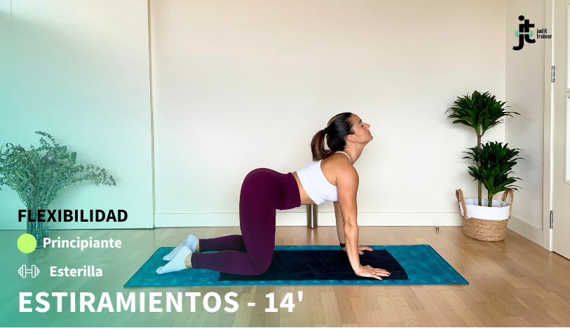 Lee más sobre el artículo Estiramientos